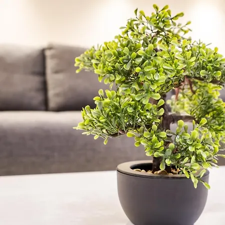 Bpr Garay With Rooftop Terrace & A/c Budapest